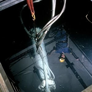 Worker looks at a WIMP detector in a pool of water