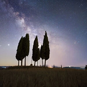 Milky way above a group of cypresses, Val d Orcia, Tuscany, Italy, Europe