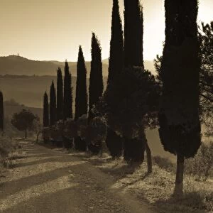 Country Road Towards Pienza