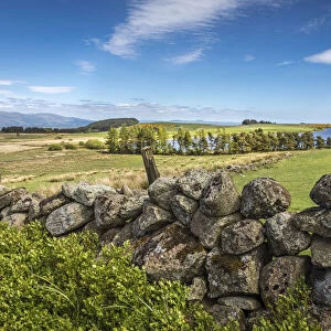 Field stone wall at Loch Coulter south of Stirling, Stirling, Scotland, Great Britain