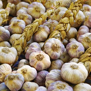 France, Provence, Arles, market stall, Garlic