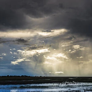 Storm and rain clouds over grassland at sunset, Liuwa Plain National Park, Zambia