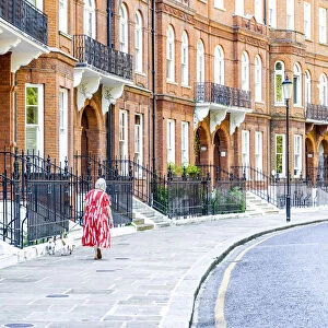 Woman walking dogs, Lennox Gardens, Knightsbridge, London, England, UK