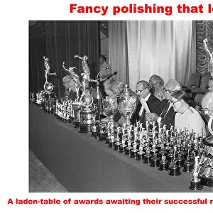 Fancy polishing that lot?