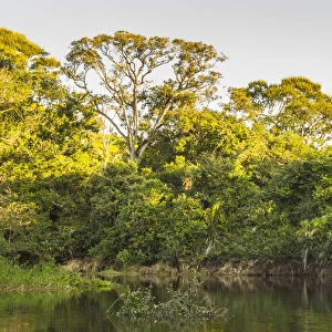 Brazil, Pantanal. Cuiaba River landscape. Credit as: Cathy & Gordon Illg / Jaynes Gallery