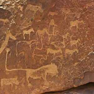 Bushman engravings at Twyfelfontein, UNESCO World Heritage Site. Damaraland, Kuene Region, Namibia