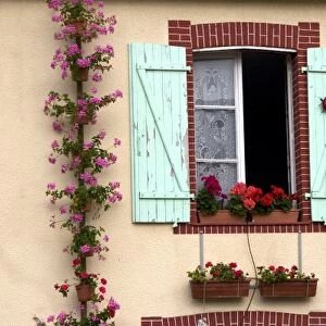 House with a nice display of geraniums in the department of Manche, France