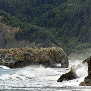 Surf among rocks, Samuel H. Boardman State Scenic Corridor, Oregon