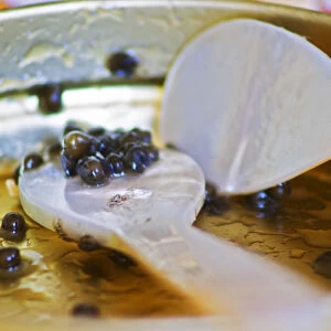 An empty tin of sturgeon caviar with two mother of pearl spoons and only a few grains