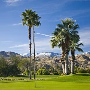 USA, California, Palm Springs. Tahquitz Creek Golf Club golf course, winter