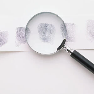 Fingerprints and a Magnifying Glass
