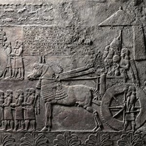 Detail of relief depicting triumph of king Ashurbanipal, from ancient Nineveh, Iraq