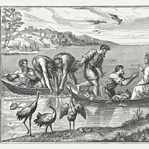 Miraculous fishing (Luke 5, 1-11) by Raphael, published 1878