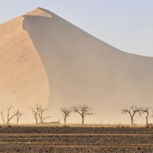 Sand storm in the Namib Desert near Sossusvlei, Namib Naukluft Park, Namibia, Africa