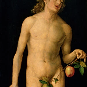 Adam, 1507 (oil on panel)