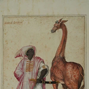 Berber with a giraffe (tempera on paper)