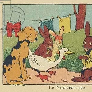 A couple of rabbits introduces their young baby to the other animals. " The Newborn", 1936 (illustration)