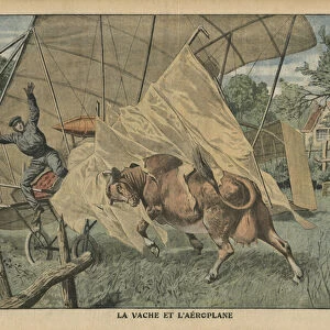 The cow and the airplane, illustration from Le Petit Journal, supplement illustre