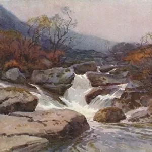 A Dartmoor Stream (colour litho)