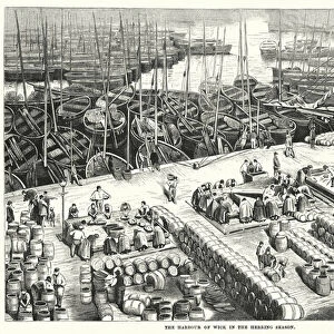 The Harbour of Wick in the herring season (engraving)