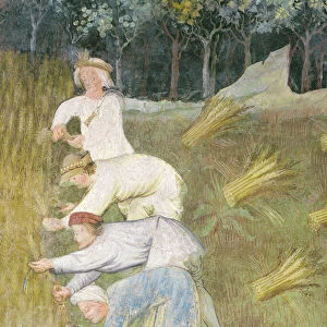 Harvesting wheat, detail (fresco)