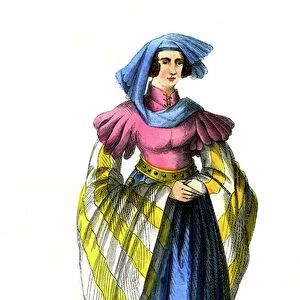Lady - French costume from the 15th century