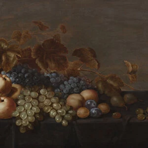 Still Life of Fruit on a Table Draped with a Dark Cloth: Plums, Apples