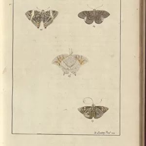 Lindsay Drawings Vol. VI, 42, 1750-79 (w / c on paper)