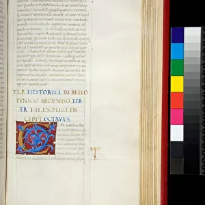 Ms 352. Livy, Ab Urbe Condita, 21-30, f. 240r. Illuminated initial [C] with classicizing red and blue acanthus motifs, 1460-1470 (parchment)