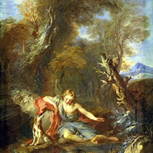 Narcissus, 1728 (oil on canvas)