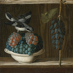 Nature morte avec des raisin et une pie grieche grise (allegorie de la peinture