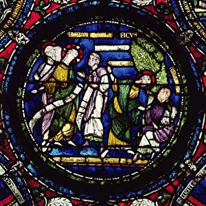 Parable of the Fig Tree, 12th Century (stained glass)