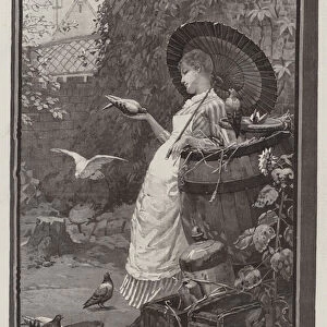 A Pigeon-Fancier (engraving)