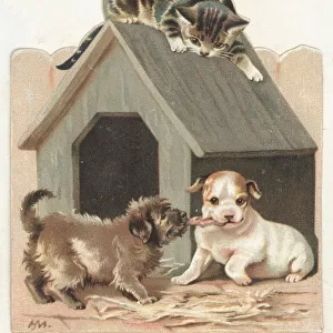 Playful Puppies and Kitten, Christmas Card (chromolitho)