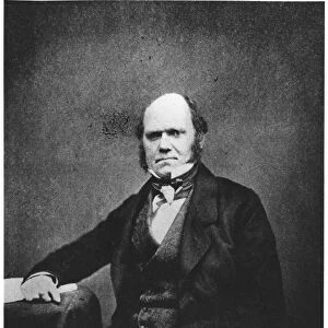 Portrait of Charles Darwin (1809-82) (b / w photo)