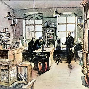 Portrait of Robert Koch in his laboratory (engraving, 19th century)
