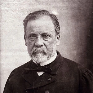 Portrait of the scientist Louis Pasteur (1822-1895), 1890 (photo)