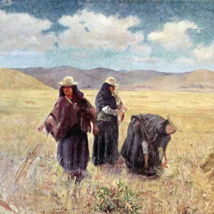 The Reapers, 1895 (oil on canvas)