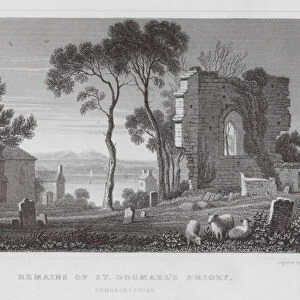 Remains of St Dogmaels Priory, Pembrokeshire (engraving)