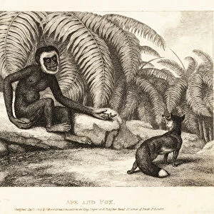 A tailless monkey asks a fox for some of his tail. Ape and fox. 1811 (etching)