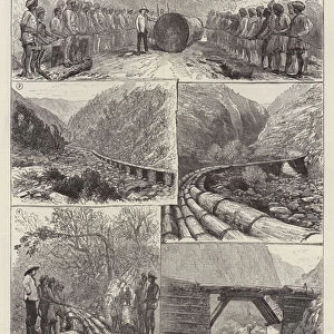 Transport of Trees in the Forests of the Himalayas (engraving)