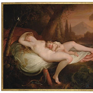 Venus and Cupid in a wooded landscape (oil on canvas)