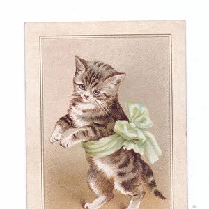 A Victorian Christmas card of a kitten wearing a huge sash tied in a bow, c