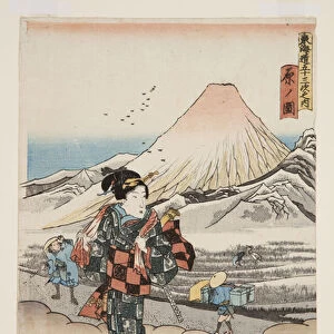 View of Hara (Hara no zu) (colour woodblock print)