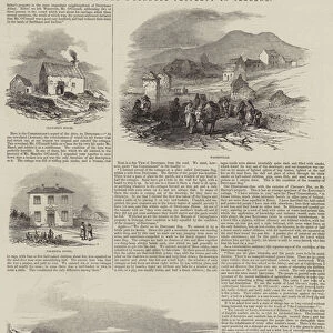 Views of the O Connell Property in Ireland (engraving)