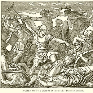 Women of the Cimbri in Battle (engraving)
