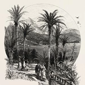 At Monte Carlo, Monaco, the Cornice road, 19th century engraving