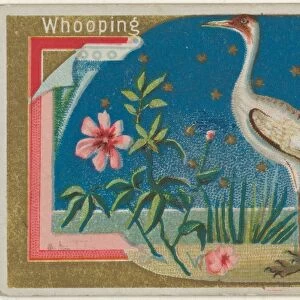 Whopping Crane Game Birds series N13 Allen & Ginter Cigarettes Brands