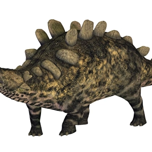 Crichtonsaurus armored dinosaur