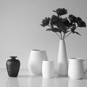 Still Life in Black and White